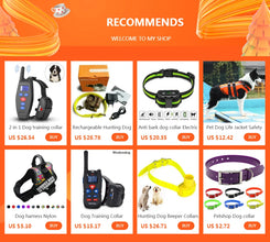 TP16 5625 Square Meters Pet Dog Electric Fence Waterproof Rechargeable Dog Training Electric shock Dogs Collar Dog accessories