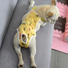 Unisex Pet Physiological Pants Underwear Dog Clothes Puppy Diaper Strap Briefs Female Sanitary Panties Shorts Pet Supplies