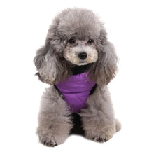 Winter Pet Clothes Warm Jacket Coat With Zipper Dog Clothes Leisure Clothing For Chihuahua French Bulldog Outfits
