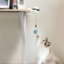 Electric Automatic Lifting Cat Ball Toy Interactive Puzzle Smart Pet Cat Ball Teaser Toys Pet Supply Lifting Balls Electric