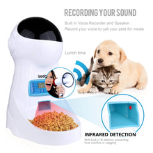 Iseebiz 3L Automatic Pet Feeder With Voice Record Pets Food Bowl For Medium Small Dog Cat LCD Screen Dispensers 4 Times One Day