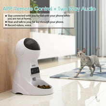 Iseebiz 3L Automatic Pet Feeder With Voice Record Pets Food Bowl For Medium Small Dog Cat LCD Screen Dispensers 4 Times One Day