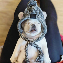 Winter Warm Dog Hats Windproof Knitting French Bulldog Hat For Dogs Chihuahua Hat Fluffy Ball Puppy Accessories Pet Hats