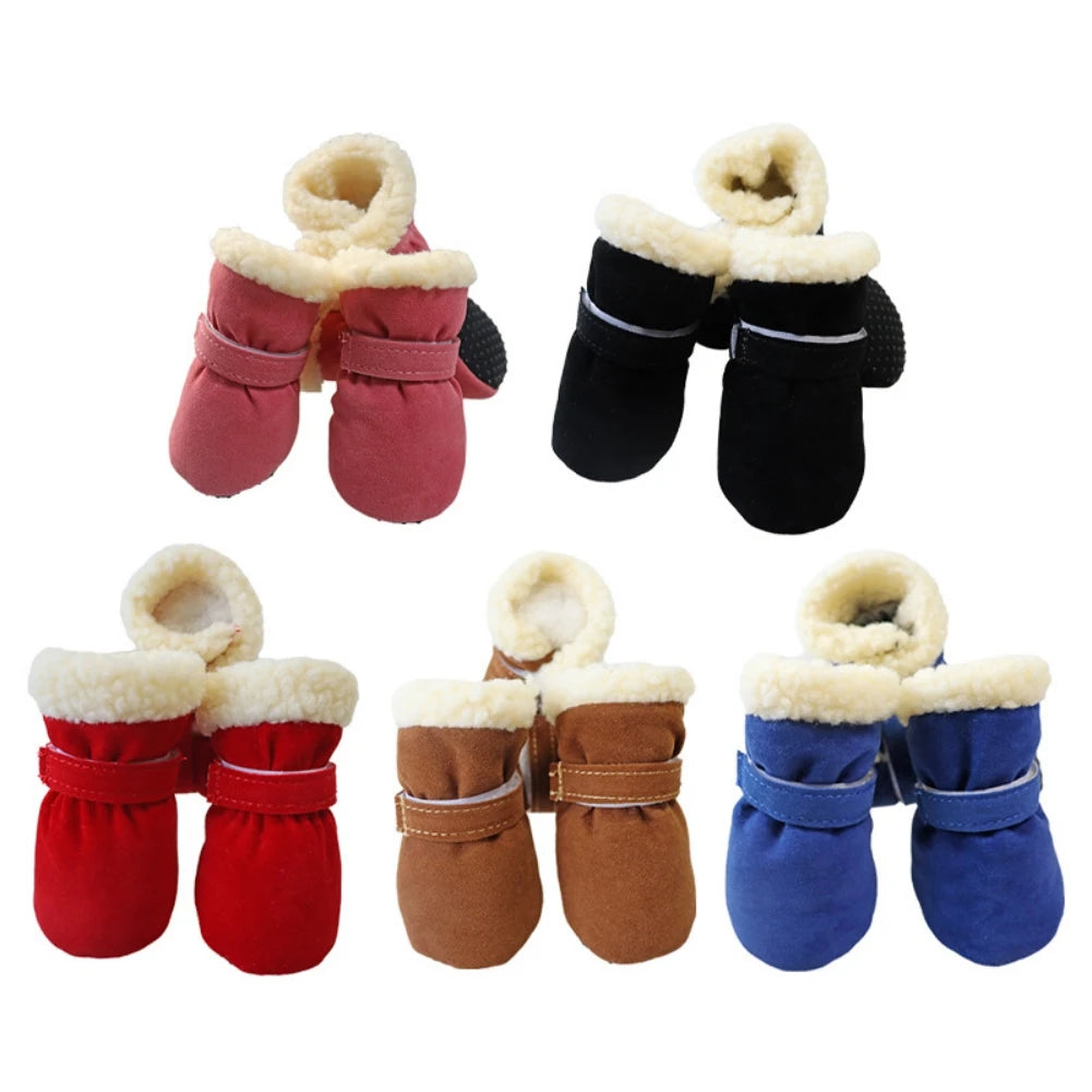 Winter Collections