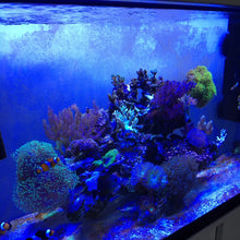 54W LED Aquarium Light Blue 470nm Underwater Lamp Aquariums Lighting Waterproof LED Lights Fish Tank Light Aquarium Accessories