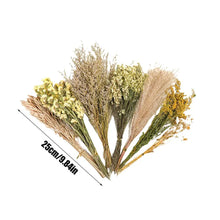 Flower And Plant Bedding Hamster Deodorizing Bedding Golden Bear Nest Landscaping Supplies Dried Flowers