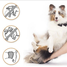 Cotton Cloth Dog Diaper Band Male Dog Belly Band Diapers For Pee Training Incontinence Anti-Harassment Reusable Washable Cloth