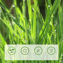 Cat Grass Sticks 8 Sticks Cat Chewing Snacks Freeze-Dried Cat Snack Time Treats Flavored Teeth Cleaning Treats For Keeping Cat