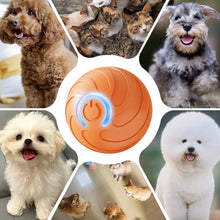Active Rolling Ball For Dog Puppy Touch Activated Smart Rotating Ball Pet Supplies Electronic Dog Toy Ball For Playing Grasping