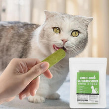 Cat Grass Sticks 8 Sticks Cat Chewing Snacks Freeze-Dried Cat Snack Time Treats Flavored Teeth Cleaning Treats For Keeping Cat