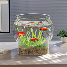 Clear Transparent Round Fish Tank Aquarium Micro-landscape Resistant Falling Desktop Ecologicals Fish Tank Ornamental Fish Decor