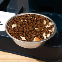 Cat Feeder And Water Dispenser Non-Slip Automatic Drinking Bottle Detachable Pet Food And Water Dispenser Pet Supplies For Cat