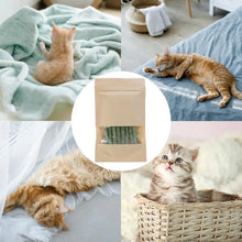 Natural Matatabi Cat Stick Mint Caught Bite Excited Rods Silvervine For Cat Teeth Cleaning Treating Pet Catnip Toys Sticks
