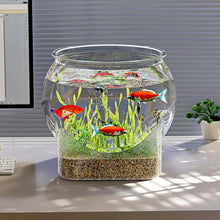 Clear Transparent Round Fish Tank Aquarium Micro-landscape Resistant Falling Desktop Ecologicals Fish Tank Ornamental Fish Decor