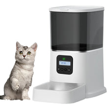 Iseebiz 3L Automatic Pet Feeder With Voice Record Pets Food Bowl For Medium Small Dog Cat LCD Screen Dispensers 4 Times One Day