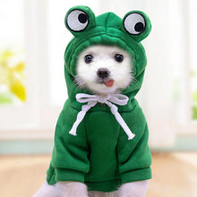 Winter Warm Cotton Dog Clothes Cute Frog Solid Hoodies Fleece Pet Dog Jacket Coat For French Bulldog Chihuahua Dog suit