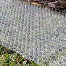6PCS Garden Cat Scat Mats Cats Net Anti-Cat Dogs Repellent Mat Prickle Strips Keep Cats Away Safe Plastic Spike Thorn
