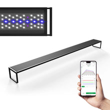 Brite Series Auto Aquarium LED Light with App-Controlled RGB+W LEDs, Custom Sunrise/Sunset Colors in Manual/Auto/Custom Modes