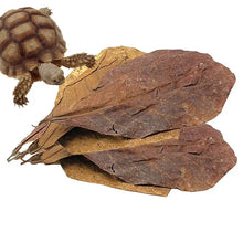 Aquarium Almond Leaves Catappa Leaves Aquarium Betta Fish Leaves Shrimp Fish Tank Accessories Creates Rainforest Environment