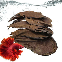 Aquarium Almond Leaves Catappa Leaves Aquarium Betta Fish Leaves Shrimp Fish Tank Accessories Creates Rainforest Environment