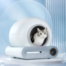Pet Smart Litter Box Fully Automatic Cleaning of Electric Large Cat Toilet Deodorizing Fully Enclosed Automatic Cat Litter Box