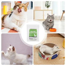 Cat Grass Sticks 8 Sticks Cat Chewing Snacks Freeze-Dried Cat Snack Time Treats Flavored Teeth Cleaning Treats For Keeping Cat