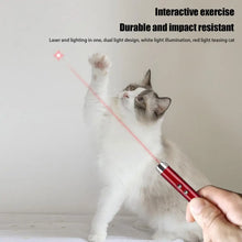 Keychain Red Laser Pointer Pen With White LED Torch Pet Cat Dog Toy Classroom Business Presentation Tool