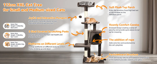 Passerscat Cat Trees Cat Climbing Frame For Indoor Cats Multi-Level With Scratching Posts Cat Tower Padded Top Perches and Condo