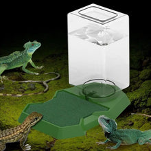 Reptile Water Bottle Automatic Reptile Water Dish With Bottle Tortoise Turtle Water Dispenser For Bearded Dragons Lizards