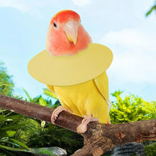 Soft Bird Collars Parrot Anti Bite Collar Breathable Anti Bite Cone Collar Soft Protective Collar Comfortable Soft Neck Collar