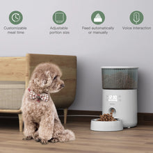 Iseebiz 3L Automatic Pet Feeder With Voice Record Pets Food Bowl For Medium Small Dog Cat LCD Screen Dispensers 4 Times One Day