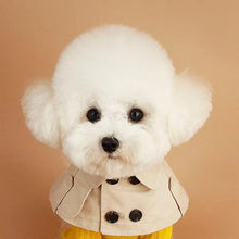 Fashion British Style Dog Cloak Windbreaker CorgiFrench Bulldog Pet Dog Bib Pet Clothing Cape Pets Costume Trench For Small Dog