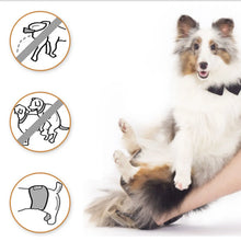 Cotton Cloth Dog Diaper Band Male Dog Belly Band Diapers For Pee Training Incontinence Anti-Harassment Reusable Washable Cloth