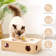 Mewoofun Cat Toys Interactive Whack-a-mole Solid Wood Toys for Indoor Cats Kitten Catch Mice Game