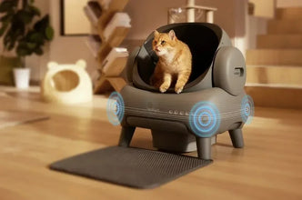 M1 Large Low noise Odor Eliminator App Control Intelligent Electric Self Cleaning Smart Automatic Cat Litter Box