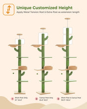 Adjustable Height Cactus Cat Tree for Indoor Cats Floor to Ceiling Cat Tower with Scratching Post Cozy Hammock Dangling Balls