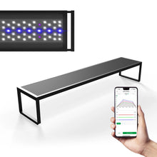 Brite Series Auto Aquarium LED Light with App-Controlled RGB+W LEDs, Custom Sunrise/Sunset Colors in Manual/Auto/Custom Modes