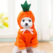 Winter Warm Cotton Dog Clothes Cute Frog Solid Hoodies Fleece Pet Dog Jacket Coat For French Bulldog Chihuahua Dog suit