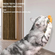Cat Wall Stick-on Ball Wall Mount Cat Mint Balls Edible Cat Catnip Licking Ball Cat Wall Treats Teeth Cleaning Cat Bite Toy
