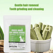 Cat Grass Sticks 8 Sticks Cat Chewing Snacks Freeze-Dried Cat Snack Time Treats Flavored Teeth Cleaning Treats For Keeping Cat