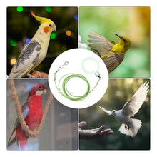 Bird Flying Training Rope Lightweight Pet Parrot Rope For Outdoor Flying Biting-Resistant Bird Training Toy With Ankle Foot Ring