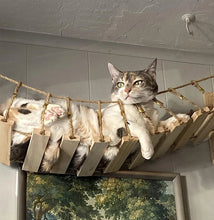 39.4In Wall-mounted Cat Roped Bridge for Indoor Cats Steps with Sisal Wall Wooden Furniture for Sleeping Playing Climbing