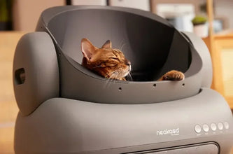 M1 Large Low noise Odor Eliminator App Control Intelligent Electric Self Cleaning Smart Automatic Cat Litter Box