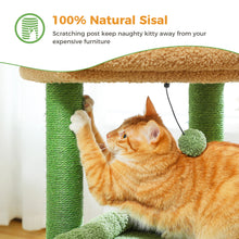 H68cm Small Cat Tree Condo for Indoor Hanging Ball Tower Large Top Perch Warm Cozy Home Sisal Scratching Post rascadores de gato