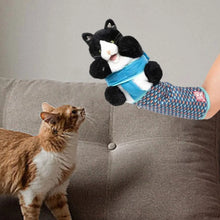 2/1pcs Cats Puppet Wrestler,Cat sumo Wrestler Toy Interactive Play Cat Plush Animal Toy With Sturdy Padding Cat Wrestling Gloves