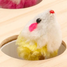 Mewoofun Cat Toys Interactive Whack-a-mole Solid Wood Toys for Indoor Cats Kitten Catch Mice Game
