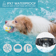 800M Electric Dog Training Collar Waterproof Remote Control Anti Bark Collar Sound Vibration Shock for All Size Dog