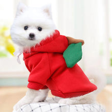 Winter Warm Cotton Dog Clothes Cute Frog Solid Hoodies Fleece Pet Dog Jacket Coat For French Bulldog Chihuahua Dog suit
