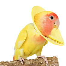 Soft Bird Collars Parrot Anti Bite Collar Breathable Anti Bite Cone Collar Soft Protective Collar Comfortable Soft Neck Collar