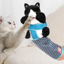 2/1pcs Cats Puppet Wrestler,Cat sumo Wrestler Toy Interactive Play Cat Plush Animal Toy With Sturdy Padding Cat Wrestling Gloves